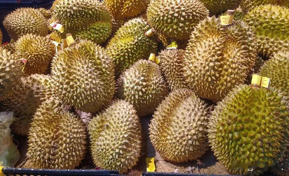 菲律宾榴莲遇到困境。之前杜特尔特蜜月期，菲律宾农户感受到了外贸的甜头，不满足于香