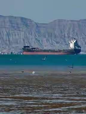 为什么伊朗突然开放霍尔木兹海峡？
        2026年4月17日伊朗宣布黎