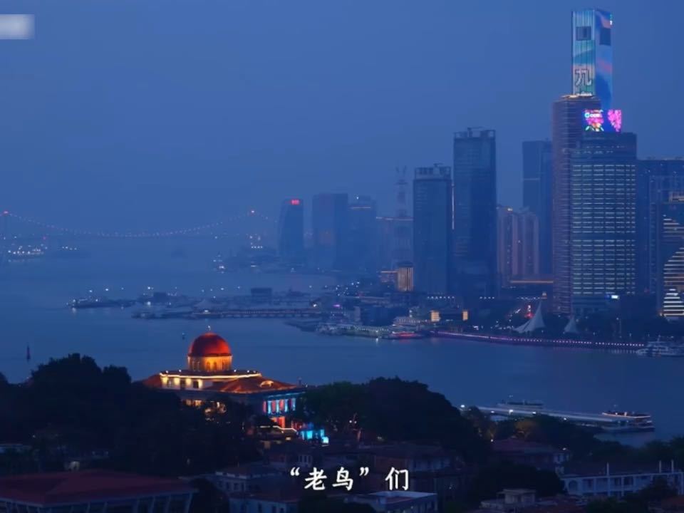 陈立农喊白鹿李晨范丞丞老鸟陈立农说白鹿李晨范丞丞是老鸟白鹿艺术体操世界挑战杯推广