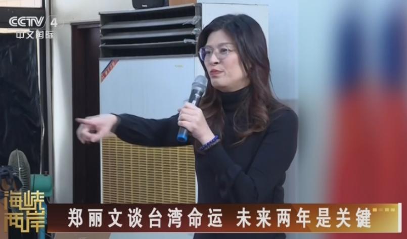 一查才发现，郑丽文和洪秀柱最大的区别，不是一句“反绿”能说清的
 
我原本以为，