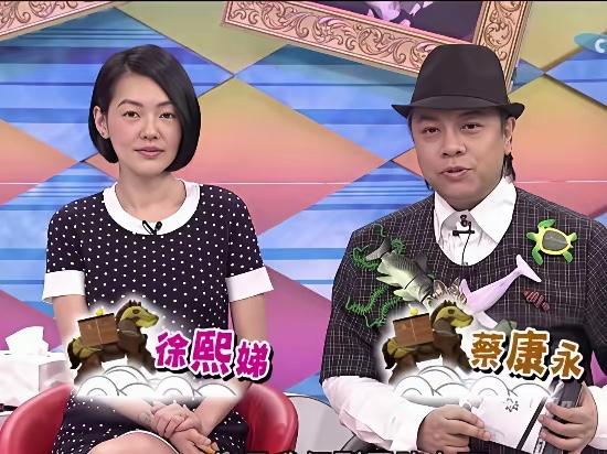 以前看康熙来了，发现蔡康永是很会说话，一副人畜无害的样子！

他从来没有在任何场