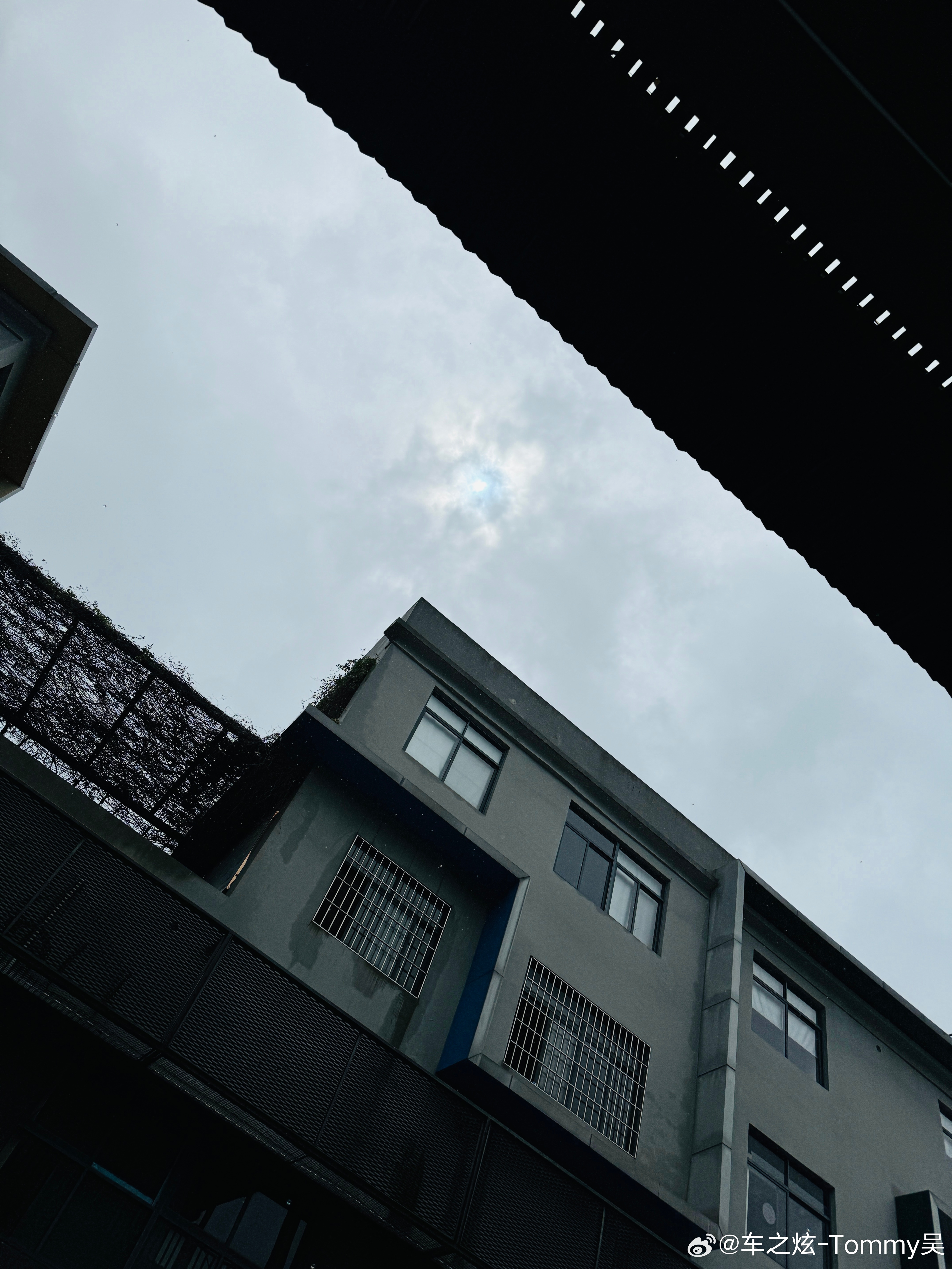 🌀台风天里的太阳☀️  ​​​