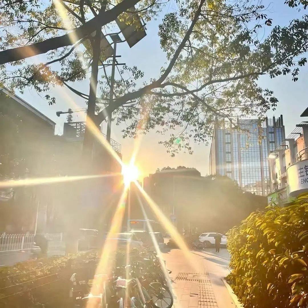 💐𝐒𝐖𝐄𝐄𝐓 𝐋𝐈𝐅𝐄🍀其实呢，成年人的字典里呢，也有容易