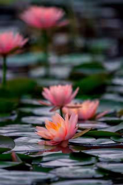 快接住了！老天爷都护着心善的人，你家往后干啥都顺！好事天天来
真是太开心了！你的