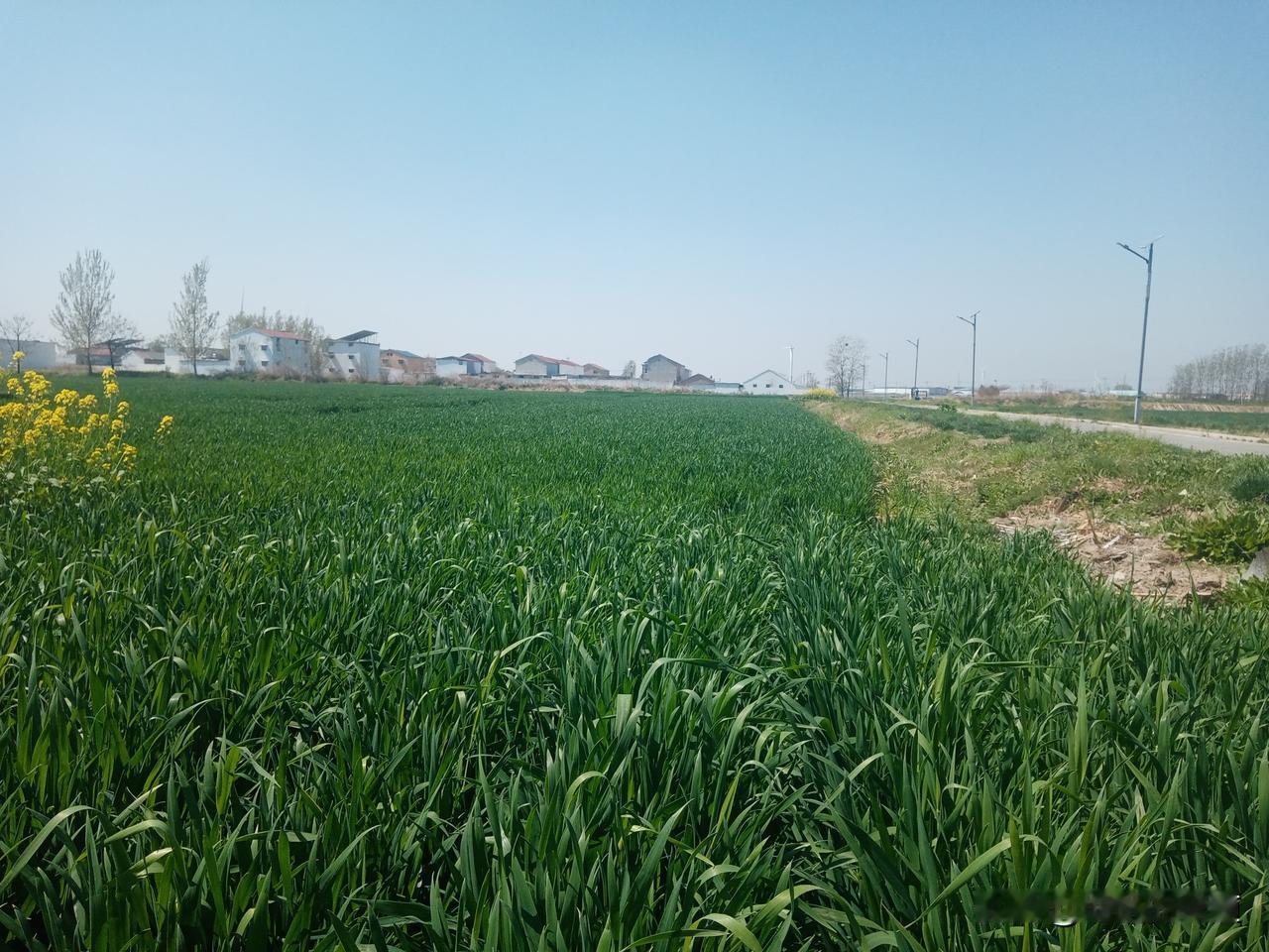 老农谚
二月二十二看收成
二月二十二是雨天，农民有吃又有穿
二月二十二雨浇麦，粮