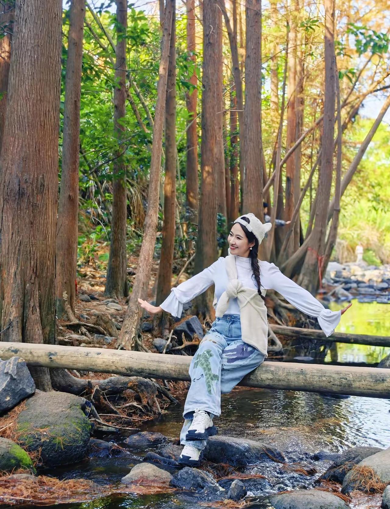 马峦山郊野公园西北门的落羽杉红了，再不来看又要等下一个春去秋来了落羽杉 马峦山瀑