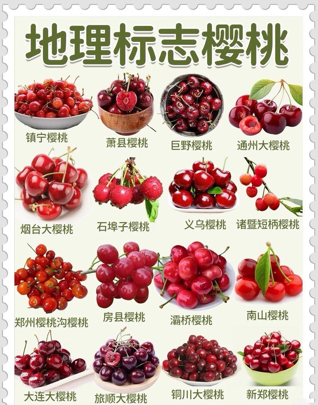 樱桃是极为健康的水果，糖分较低，还富含花青素，可经常食用。实际上，国内依据产地不