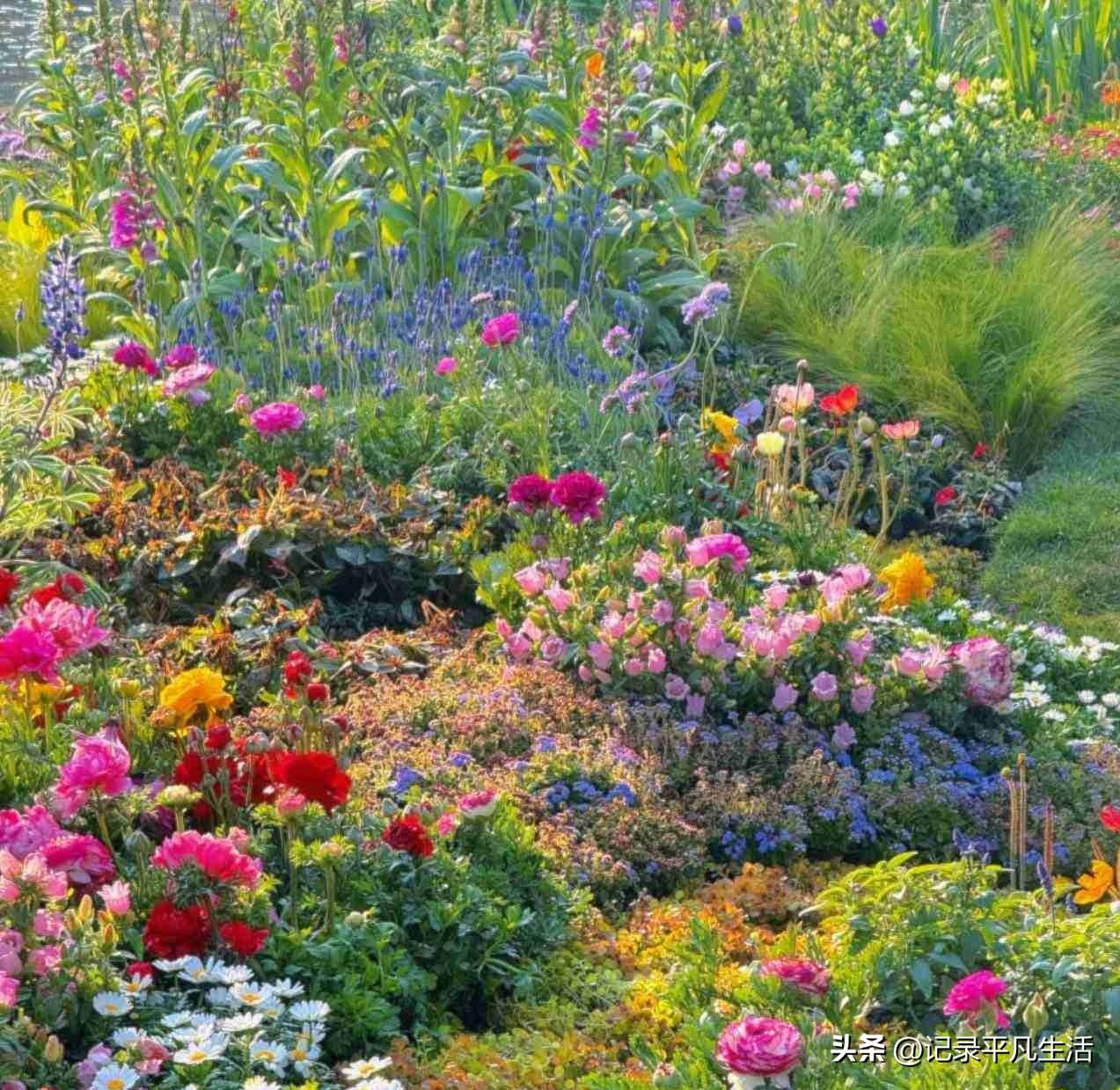 我的今日状态：😁轻松愉快
我这里的天气：☀️晴天