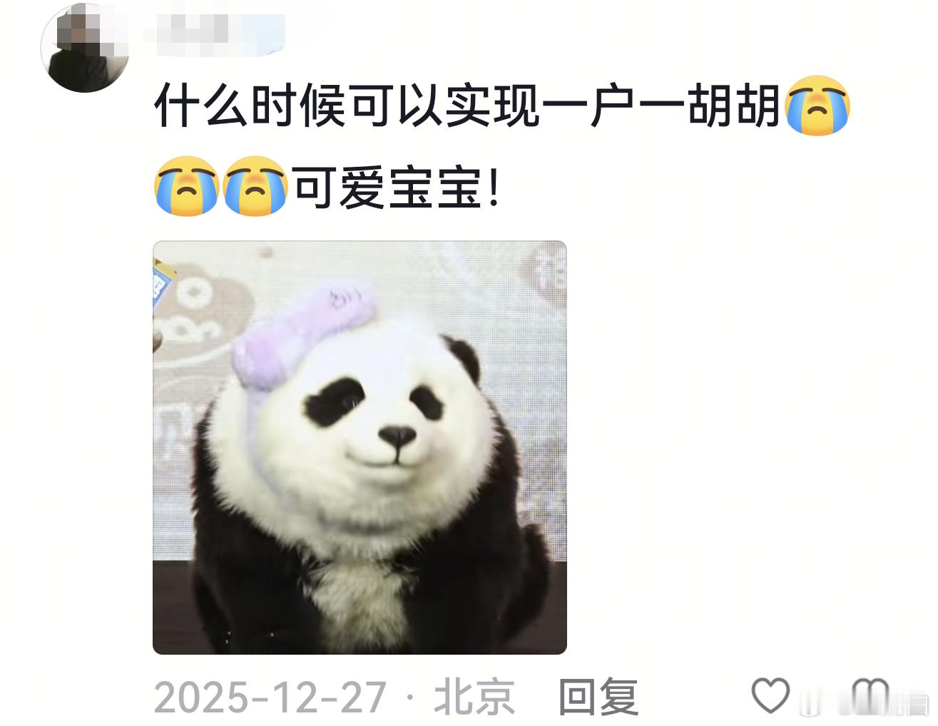 不知道 不用排队看熊猫的感觉很曼妙 春节在外面看熊猫又冷又挤，不如窝在电影院吹着