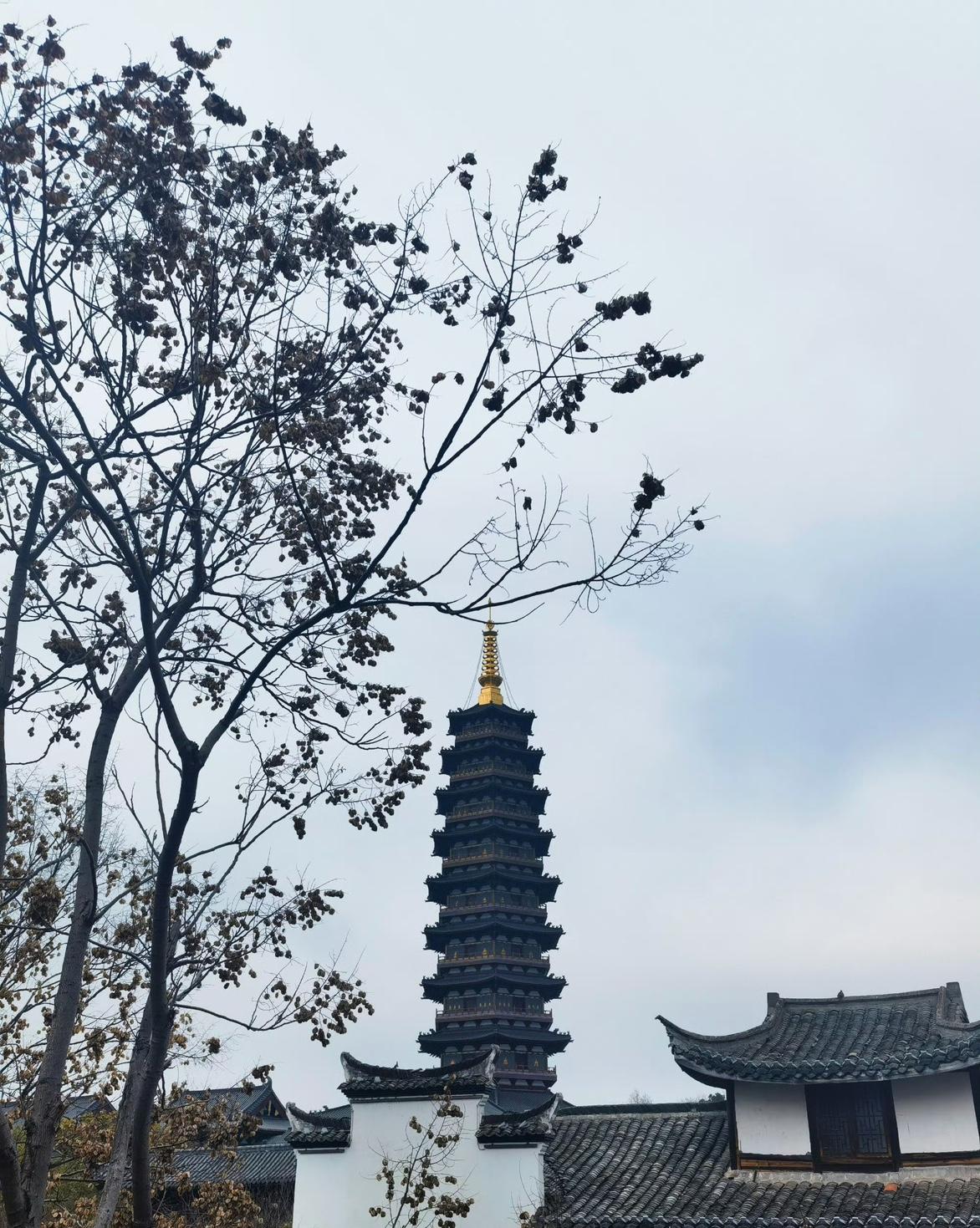 后来发现我错了。
碰上听不懂的人，你掏心掏肺，人家当你是废话连篇。
夫妻之间，朋