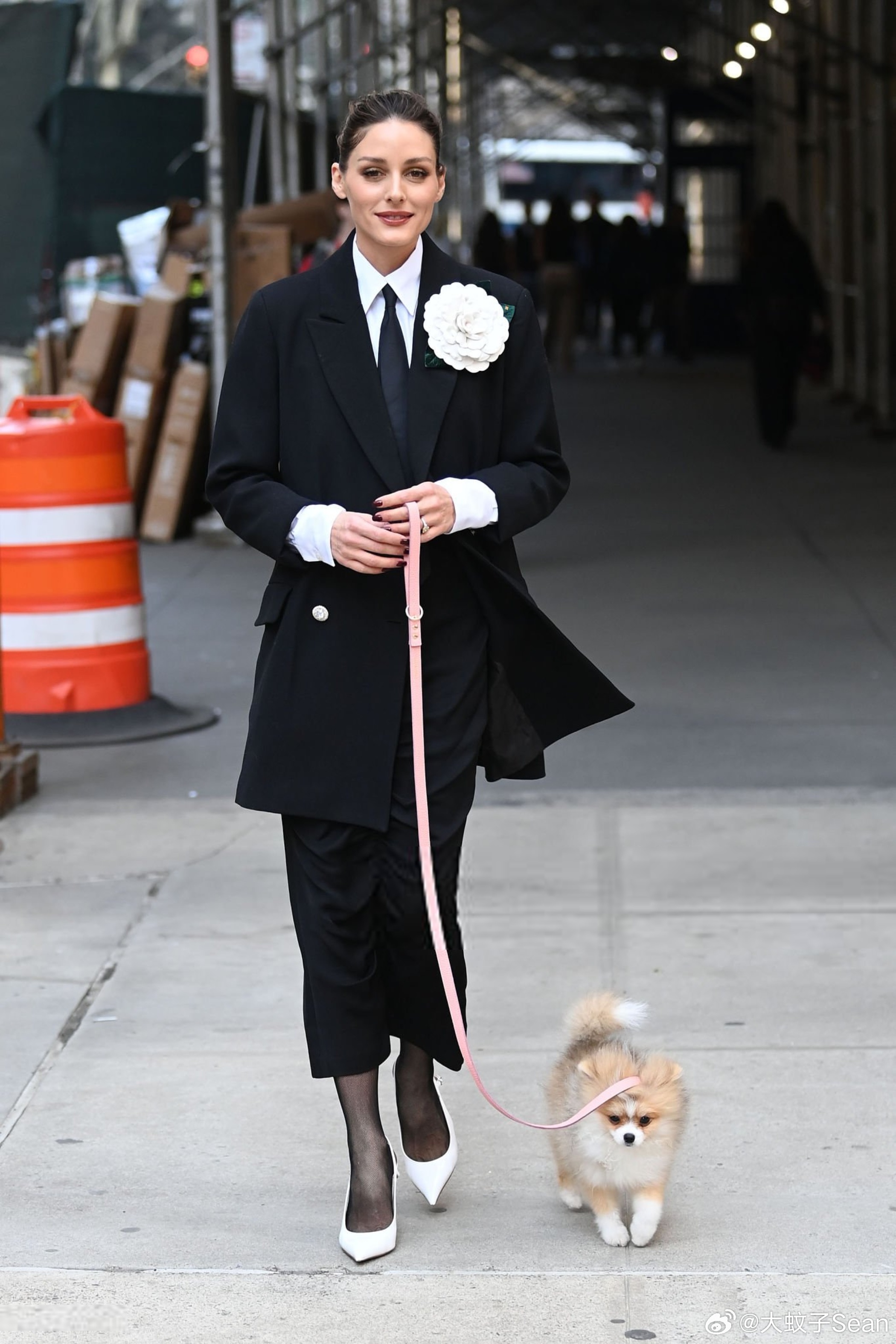 Olivia Palermo奥利维亚巴勒莫在纽约外出，一身精致打扮带狗溜达 