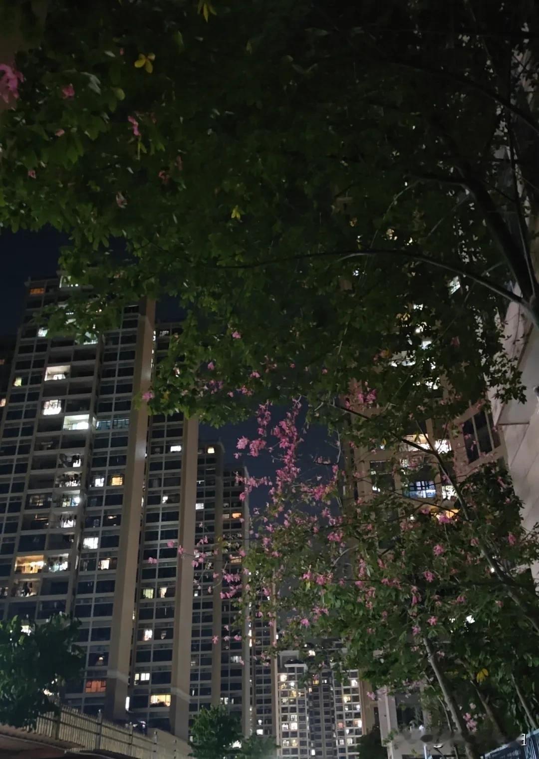 堂哥抑郁症，给了他几个建议。
和堂哥好好聊了一次天，首先是先安抚他，先按照医生的