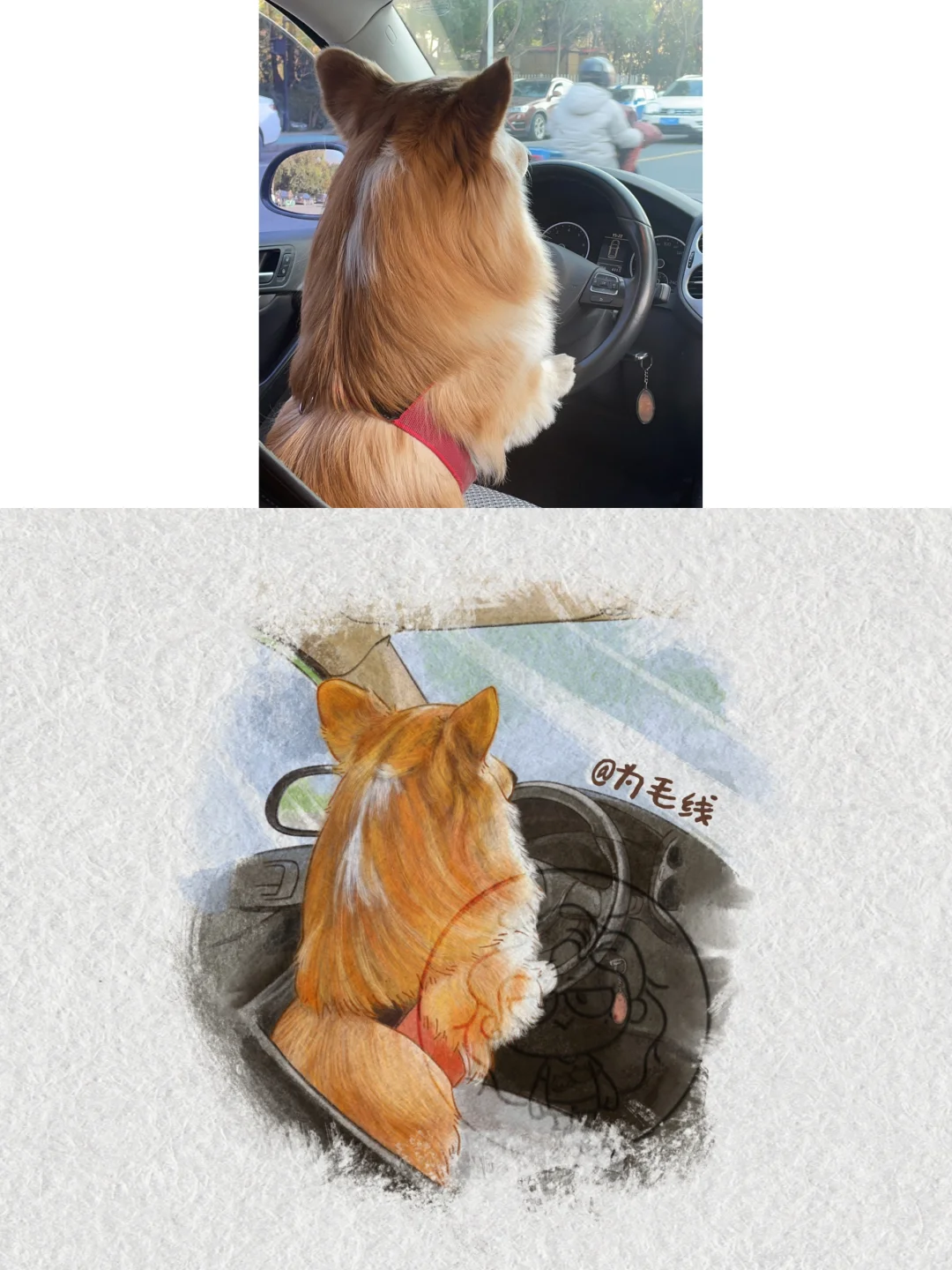 狗狗巴士🚌准备发车‼️快上车
