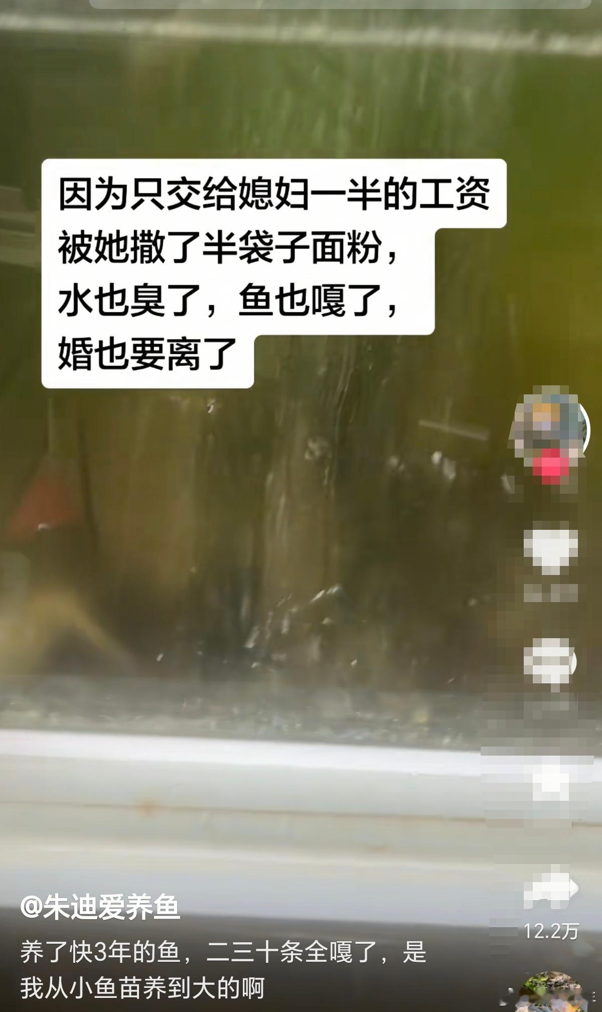 看邹市明的故事，没得感觉，看博主“朱迪爱养鱼”故事，我真的难过了博主是从各种角度