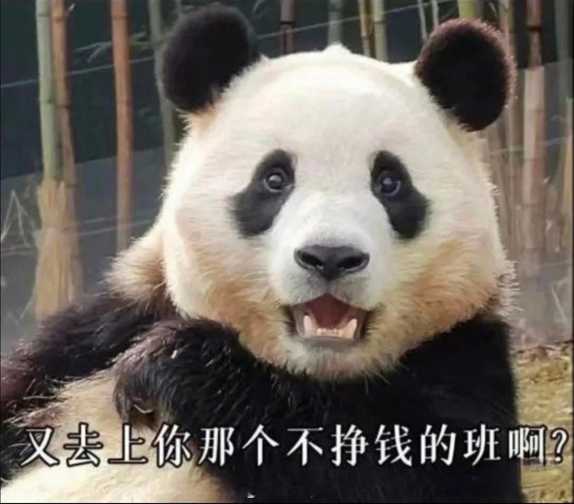 #福宝适应能力有多强#不管做什么，都不要急于回报！因为播种和收获不在一个季节！但