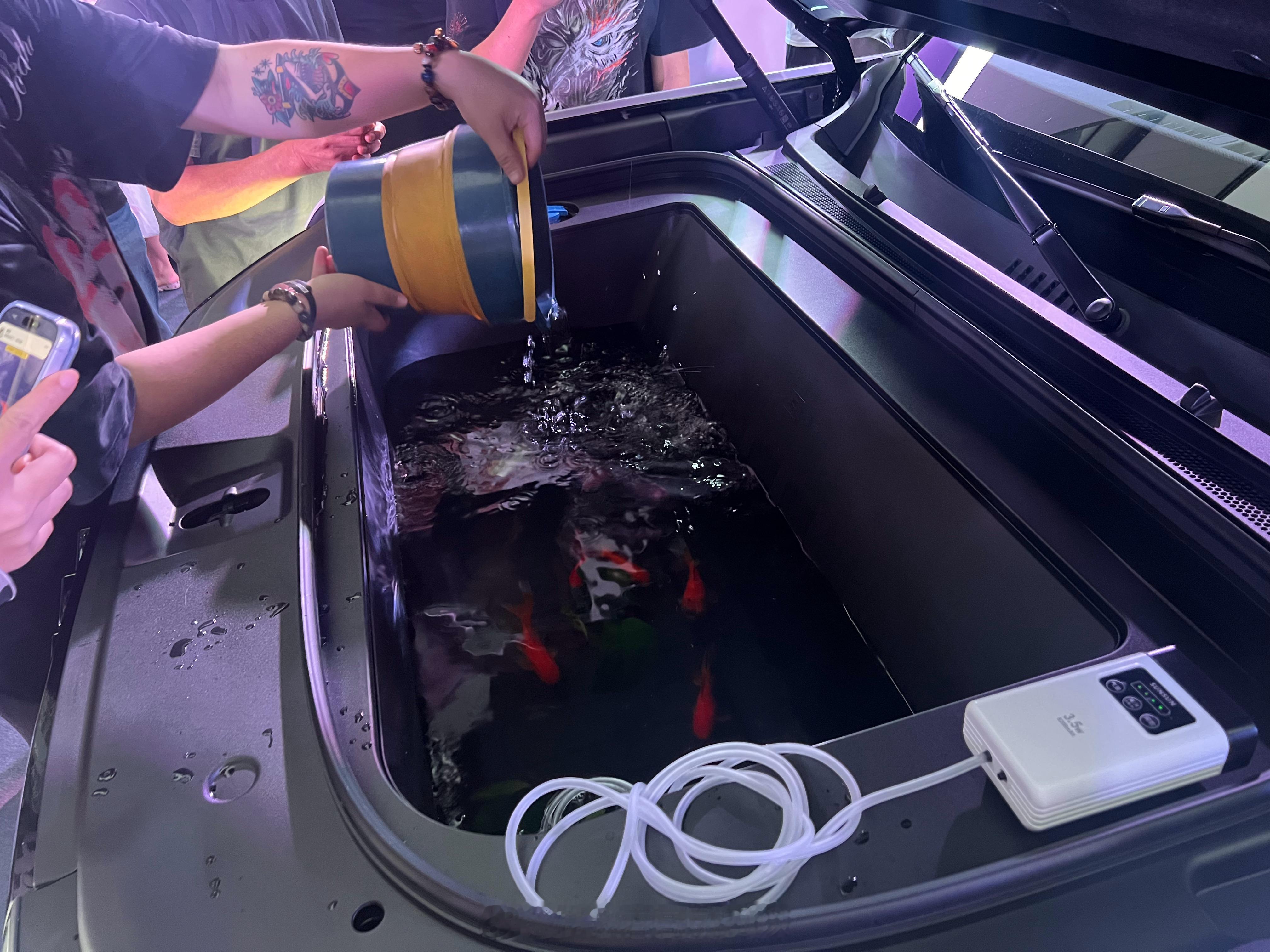 比亚迪现在搞活动是简单粗暴直接！我喜欢！前备箱现场养鱼，钛7EV 闪充版就两款车