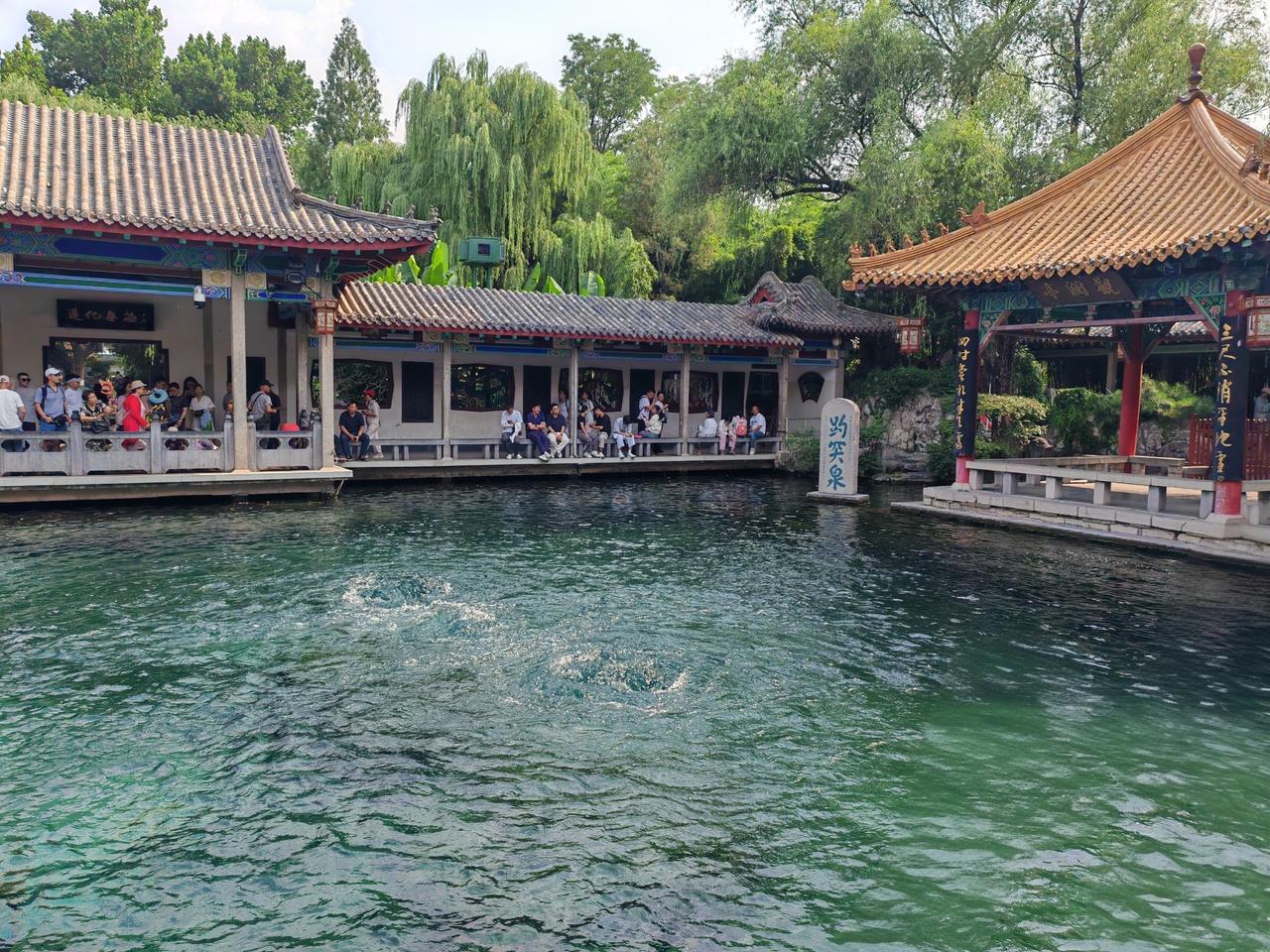分享夏日出游好去处
夏日炎炎，济南趵突泉堪称出游的上佳之选！7月济南高温持续，最