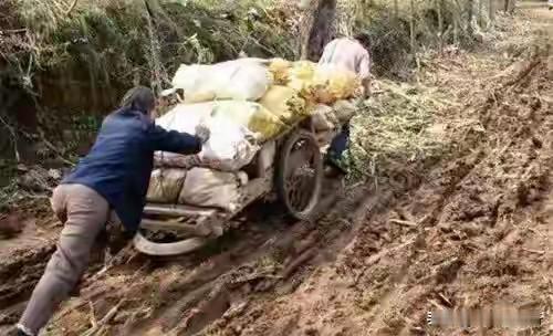 爹的地排车是自己做的。
几块平板木头，两边有简易扶手，像杠铃一样的黑色轮胎。搭起