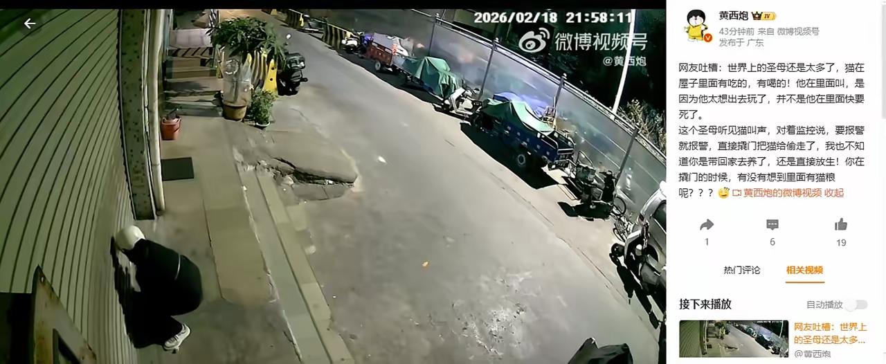 以爱猫之名行盗窃之事，圣母的这场爱心表演太离谱！

近日，一位广东网友给大家讲述