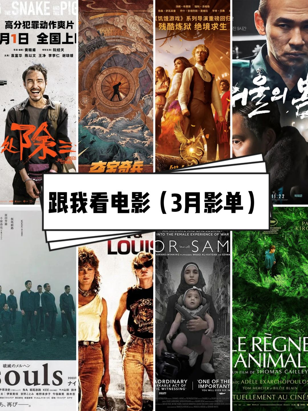 🎬跟我看电影：2024年3月影单🌿