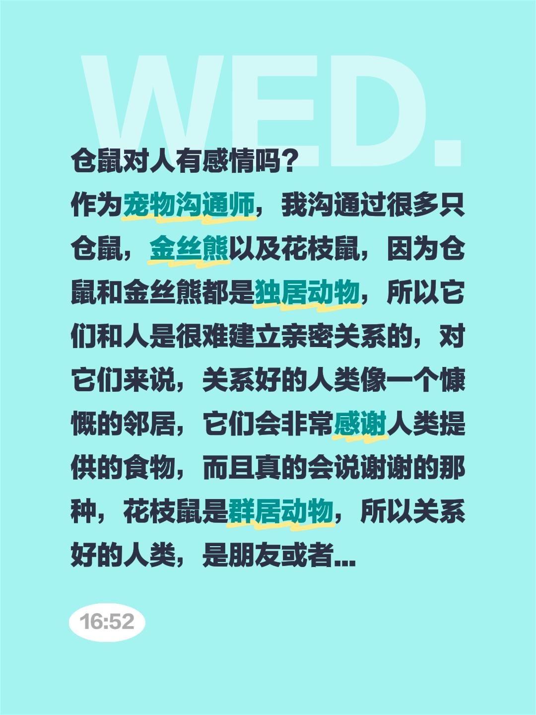 仓鼠对人有感情吗？ 作为宠物沟通师，我沟通过很多只仓鼠，金丝熊以及花枝...