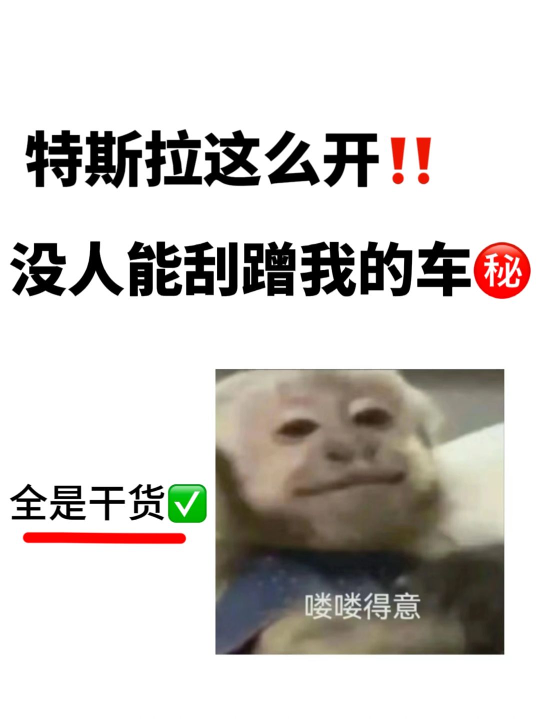 特斯拉这么设置‼️没人能刮蹭我的车✅