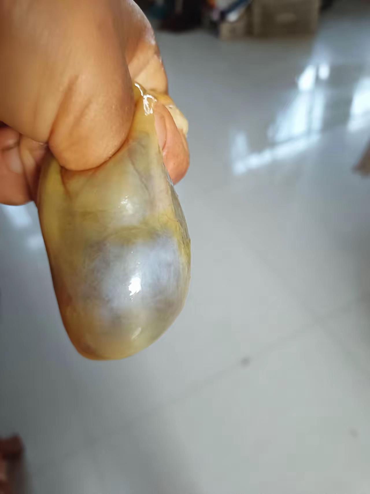 这是啥东西呢？有人认识吗？