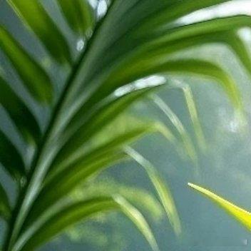 时光荏苒，岁月如梭。锦瑟年华，稍纵即逝。过去种种，弹指间，流在昨天。多少欢喜，多