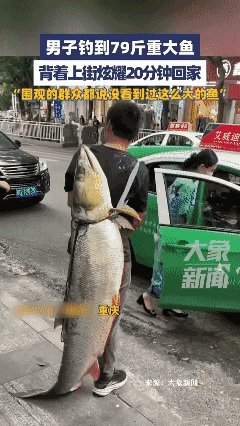 男子钓到79斤重大鱼 ，背着上街炫耀 20 分钟，够他炫耀一辈子啦！[泣不成声]