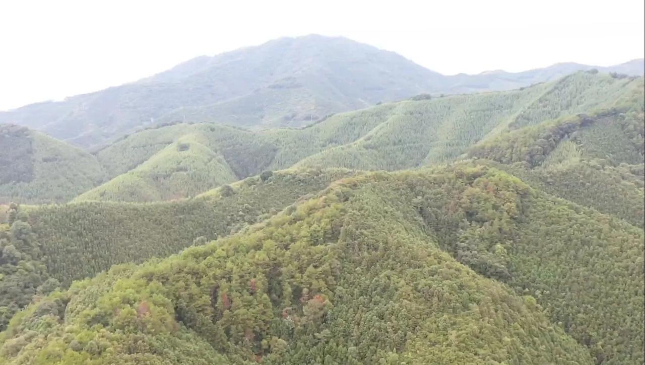 还记得这个地吗？前面是平案和双乳峰！罗成紧密！