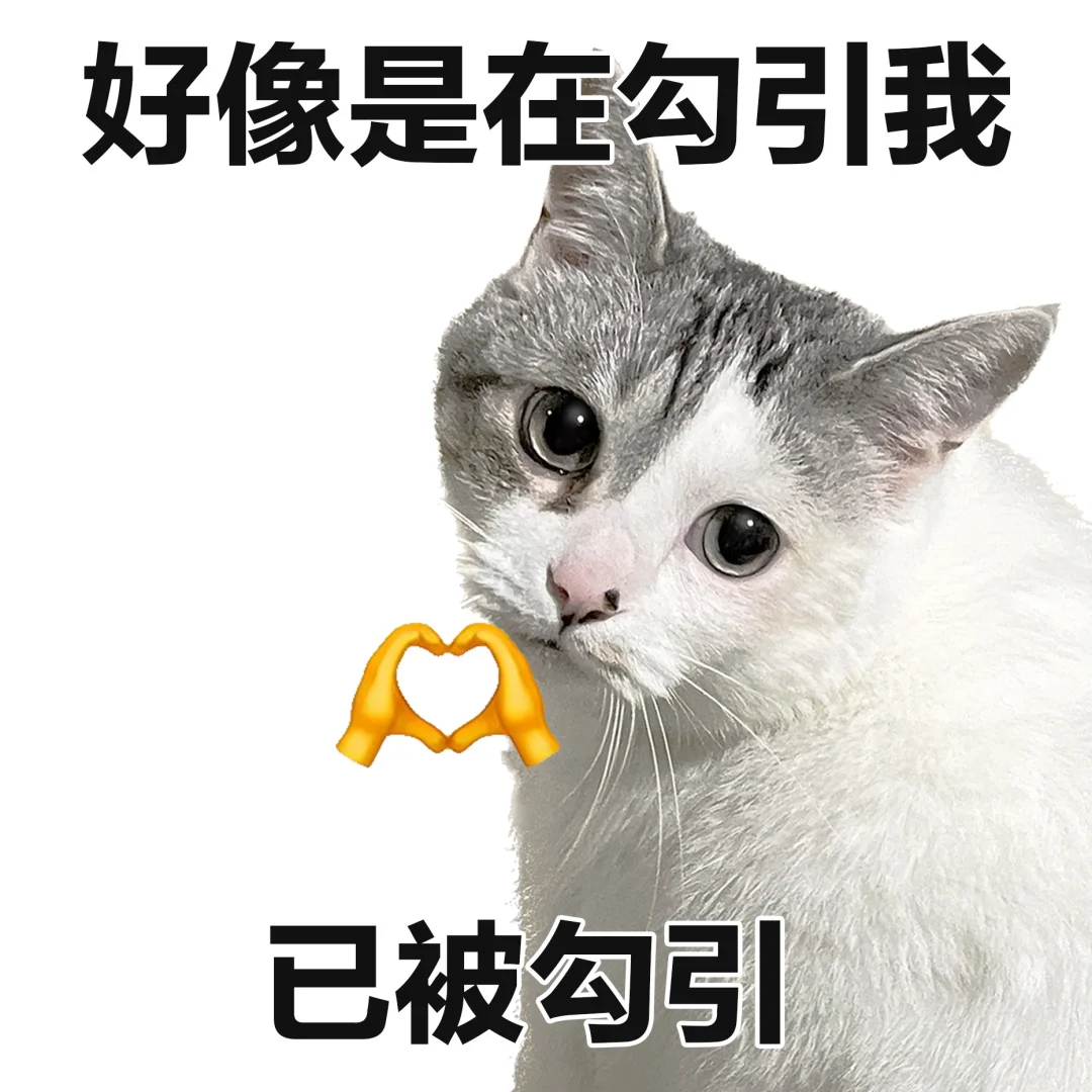 表情包 | 我追星就这样