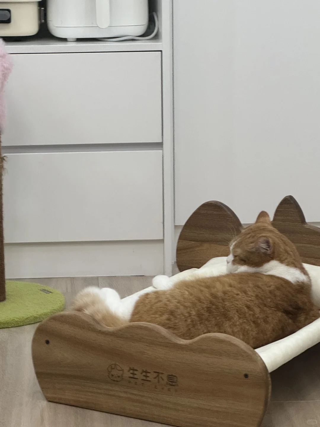 买床真的质感不能买太好的