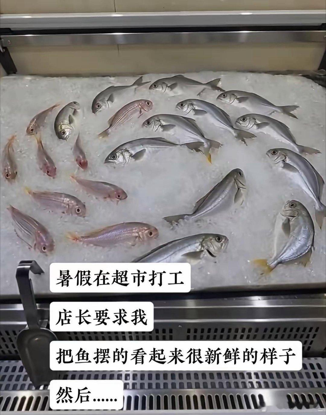 年轻的脑子就是好用，这样看着新鲜点了吗？ ​​​