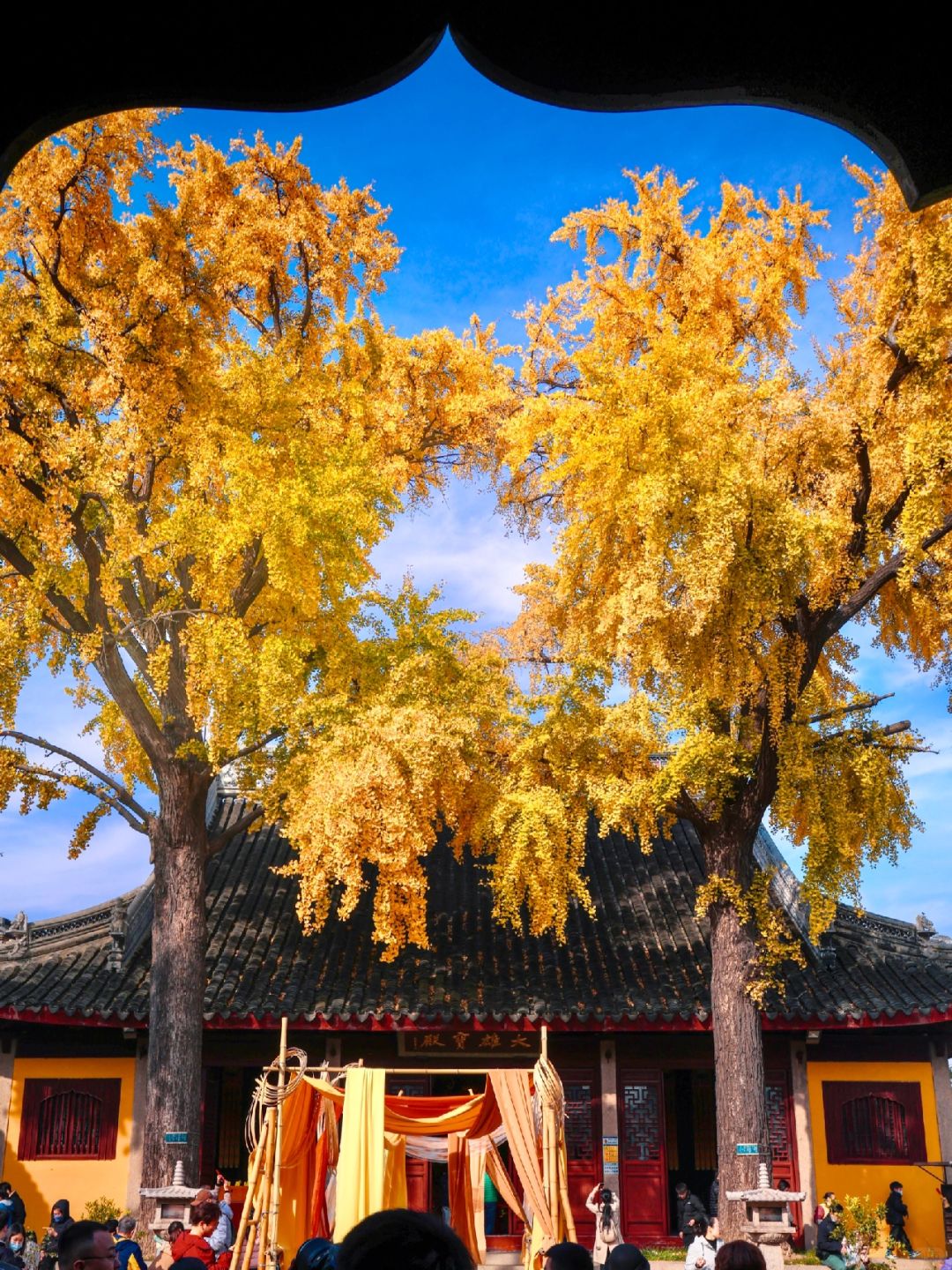 再不来苏州这个免费‼️寺庙🍁秋天就结束了‼️