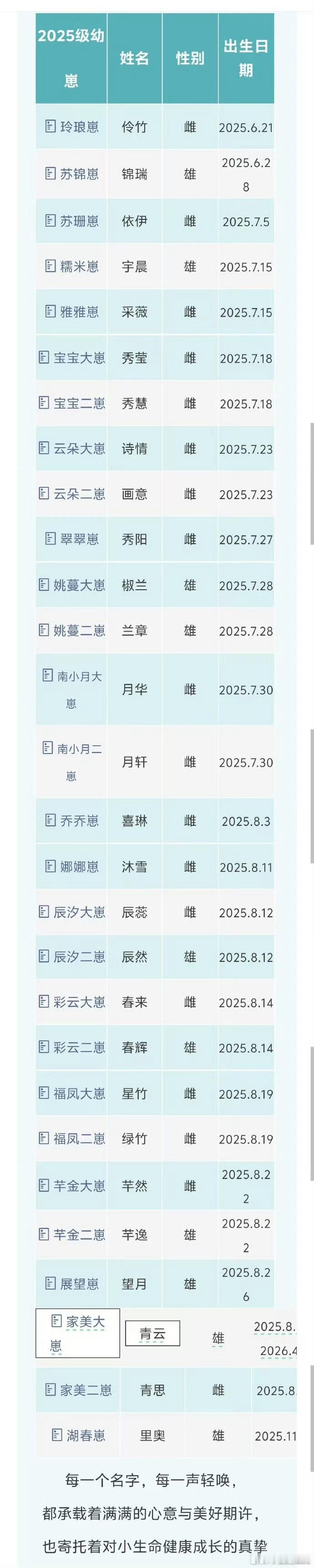 【官宣！2025级熊猫宝宝名字出炉】5月7日，官宣2025级大熊猫幼崽名字，28