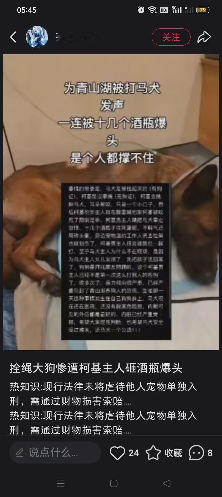 柯基主人拿酒瓶砸拴绳马犬！这哪是护狗，分明是撒野！
 
杭州这事儿看得人火冒三丈