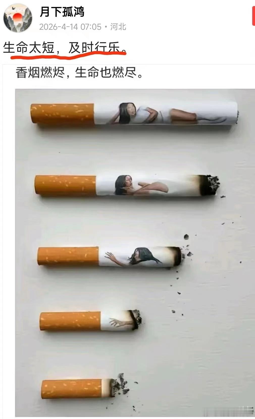 艺术创作无止境，思想方法天马行空，谁能想到，几支香烟就把人生过程说的淋漓尽致…．