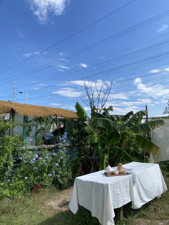 天气好到不像在广州