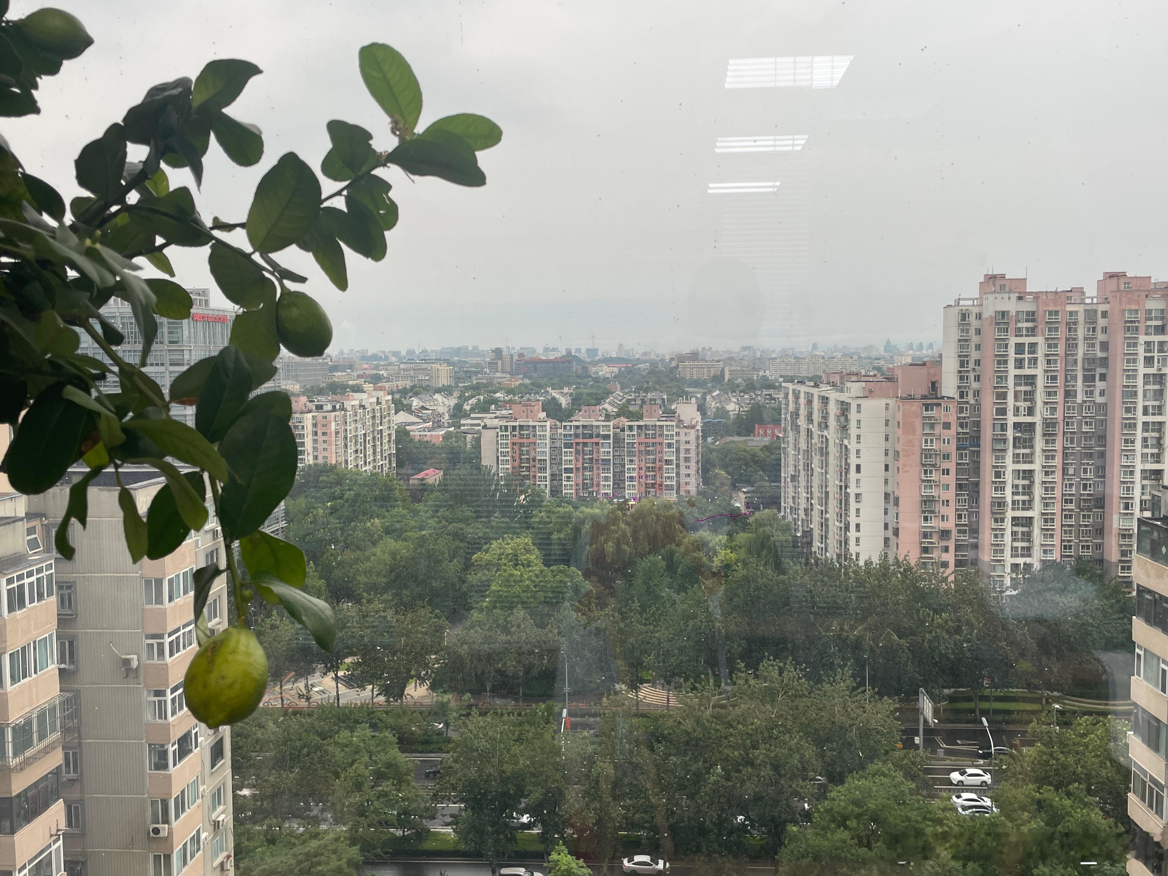 窗外风雨喧嚣，桌前稳如泰山快乐满分加倍，战局完胜收官 北京·天辰大厦