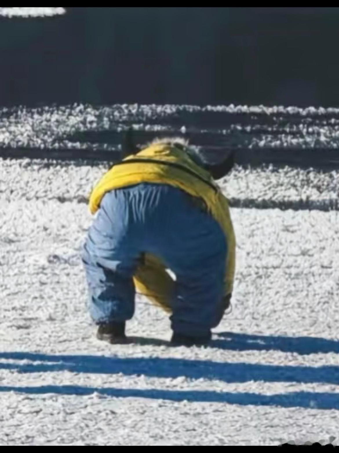 爸妈在秀恩爱，马里奥自己在角落里撅着大腚玩雪，还有两个角像邪恶恶魔大腚[doge