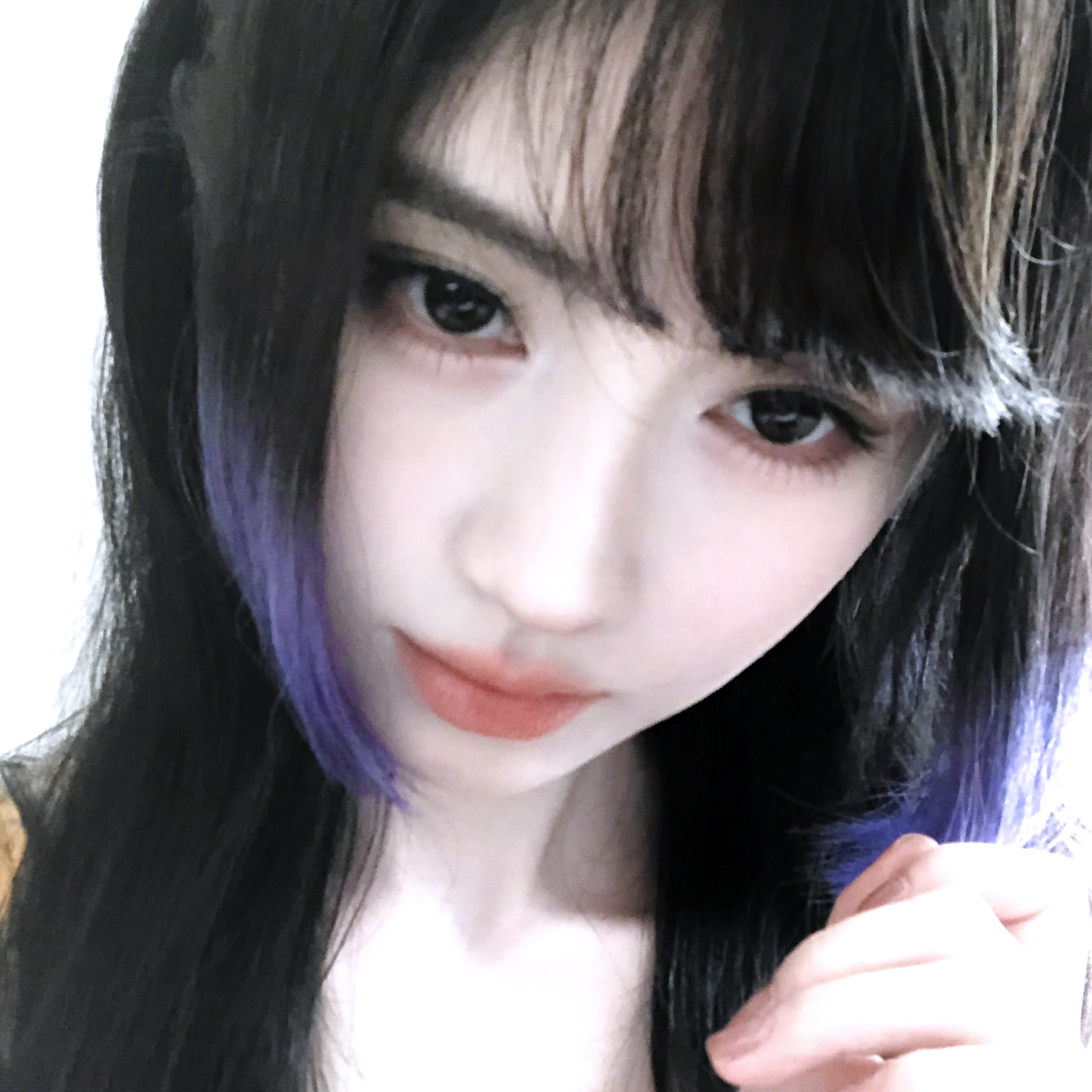 你眸中的紫。鸢尾花的旋律鞠婧祎