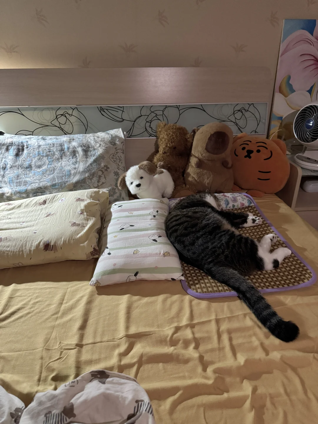 今天陪睡员和我保持了方向一致
