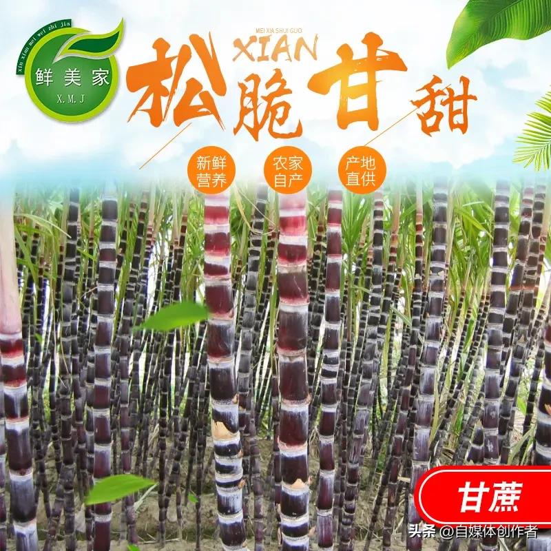 一根甘蔗的南北价差，道尽物以稀为贵的真相
 
一根普通的甘蔗，在不同城市的售价能