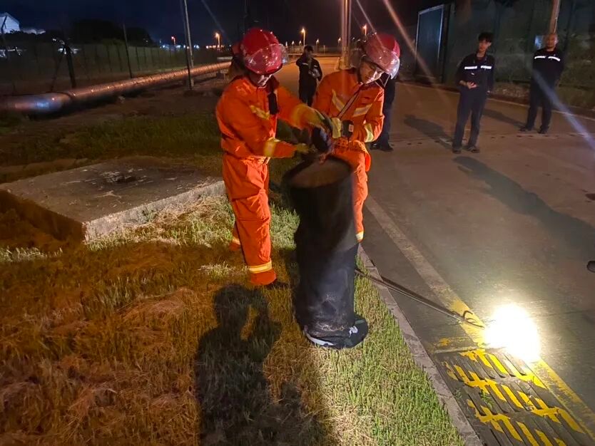 深圳一草地惊现超两米大蟒蛇¹ 深圳肯定是有蟒蛇的！不得不说下著名的大亚湾核电站，
