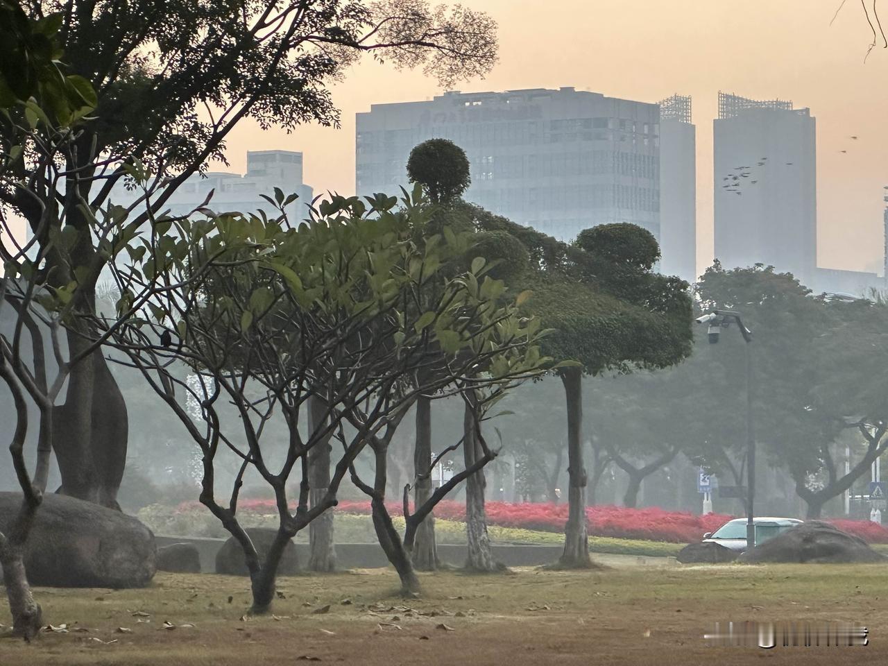 分享一张最近随手拍的照片