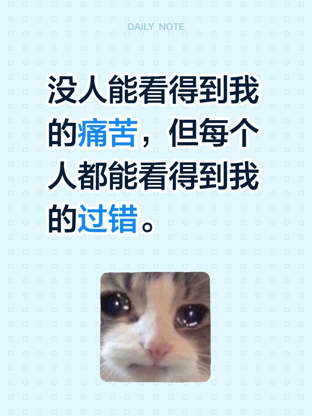 没人能看得到我的痛苦，但每个人都能看得到我的过错。