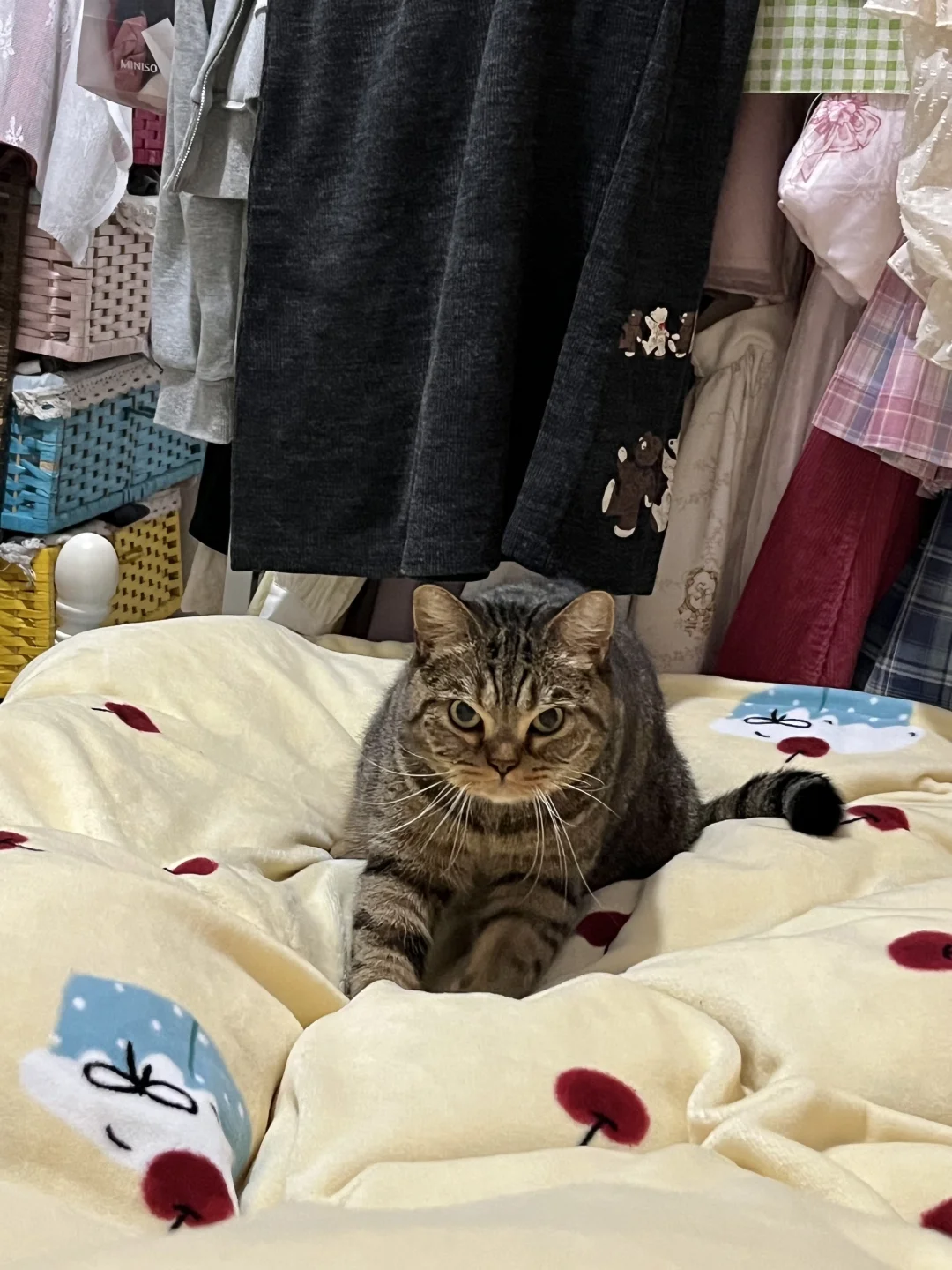 踩踩睡了