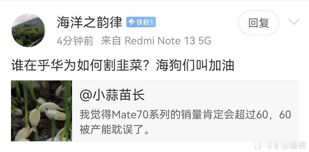 Note13还是标准版，天天张口就韭菜，谁教的？ 