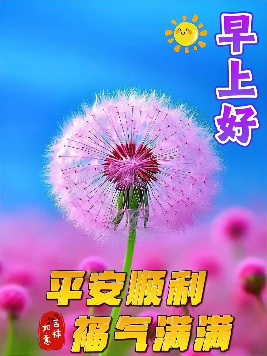 早安！粉嫩蒲公英送你满满福气，愿你平安顺遂，日子如花般绽放，吉祥如意！
分享早上