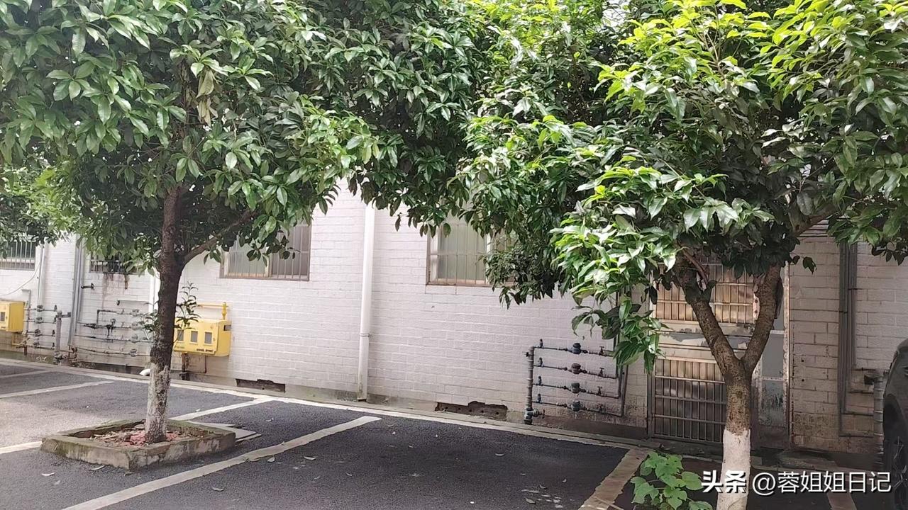 人慢慢地变老了之后，我真的不想和太多的人接触了。一个人所有的苦难就是交了不好的朋